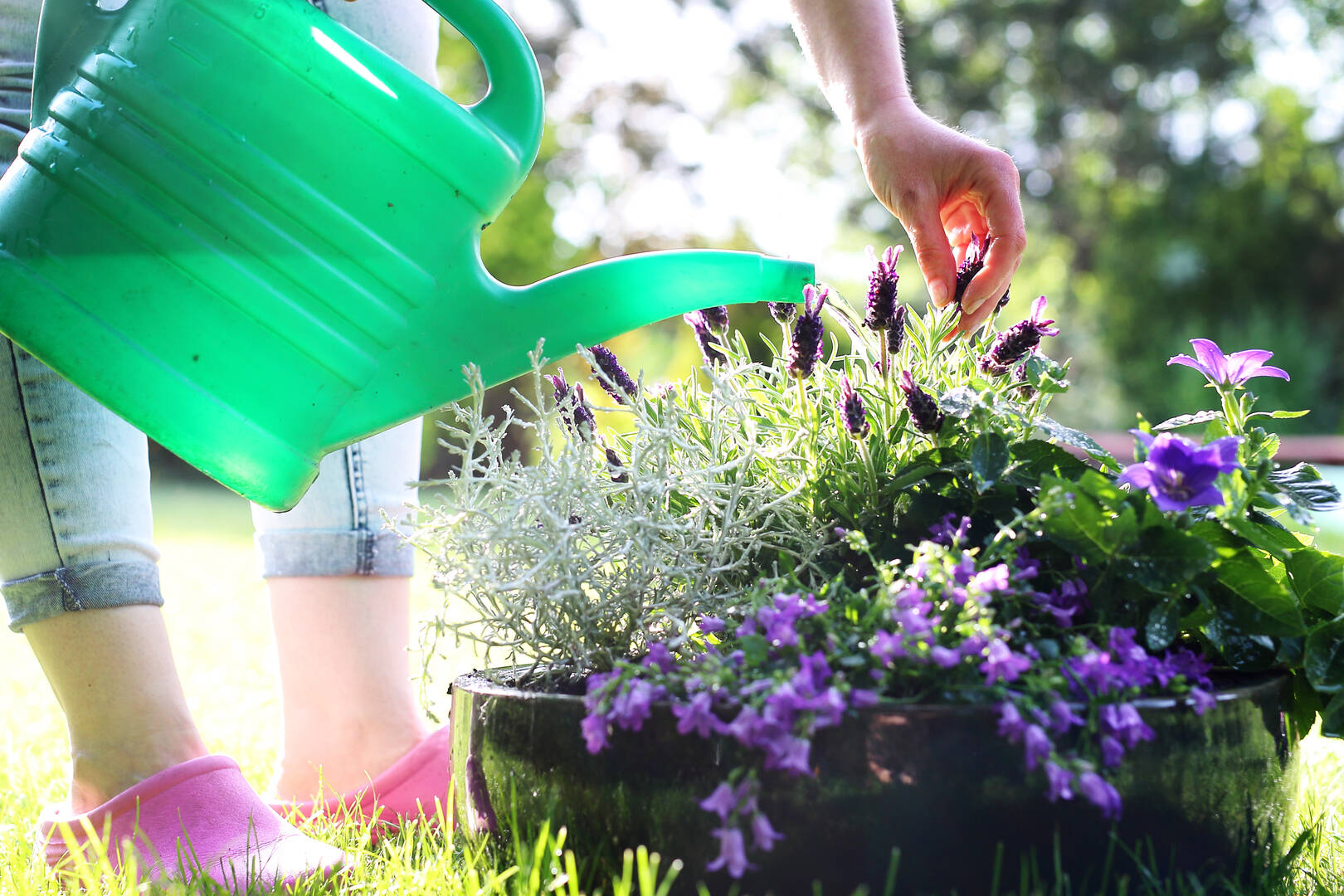 Best House Cleaning Services in Dallas TX  Maid Cleaning Services