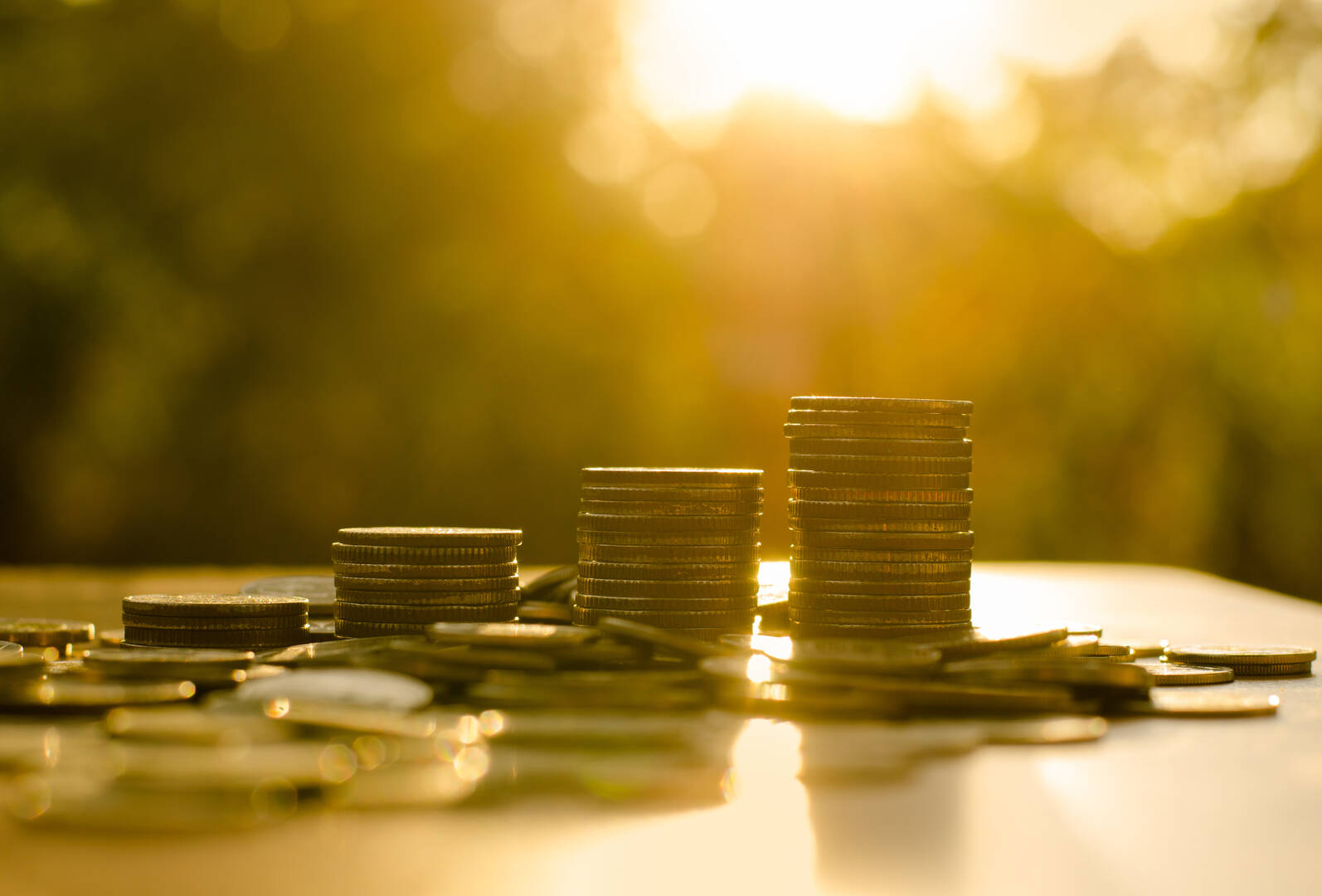 Professional Credit Repair Services in Anchorage AK for Long-Term Results